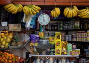 APUCV: un profesor universitario en Venezuela gana entre 1 y 4 dólares al mes