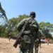Hallaron en Colombia los restos de una venezolana secuestrada por las FARC