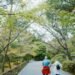 Japón volvió a romper el récord de casi 100 mil habitantes con más de 100 años de edad
