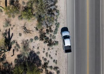 Hallaron una pista importante durante la búsqueda de la madre de periodista secuestrada en Arizona