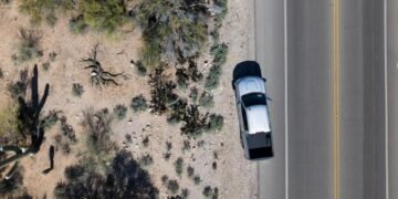 Hallaron una pista importante durante la búsqueda de la madre de periodista secuestrada en Arizona