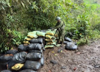 Operativo militar en el norte de Ecuador dejó pérdidas millonarias a la minería ilegal de oro